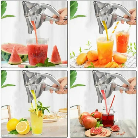 Stainless Steel Fruit Press Juicer